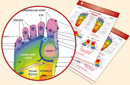 GTR Foot Reflex Chart.jpg